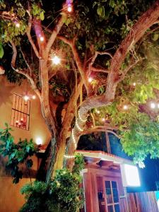 Gallery image of El Roble Hotel in Bacalar