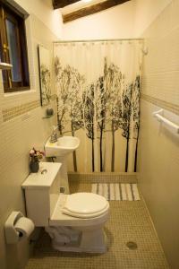 y baño con aseo y cortina de ducha. en Bungalows Perayoc, en Urubamba