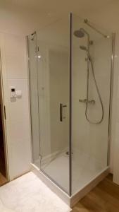 a shower with a glass door in a bathroom at Ferienhaus Bergidylle in Winterberg
