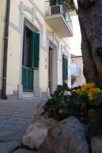 um edifício com portas verdes e flores em frente em Villino Silvia em Viareggio
