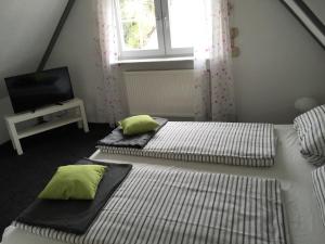 3 Betten in einem Zimmer mit Fenster und TV in der Unterkunft Casa Verde Kassel in Kassel