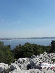 uma vista para um corpo de água com rochas e árvores em Apartments Val's Ošljak em Preko