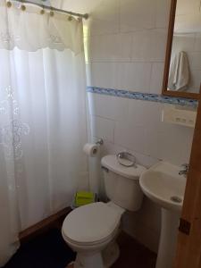 Koupelna v ubytování Cabañas Los Cipreses
