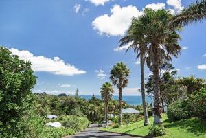una carretera con palmeras y el océano en el fondo en The Apartment at Palm Beach by Waiheke Unlimited en Palm Beach