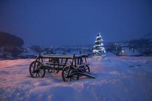 a horse drawn carriage in the snow with a christmas tree at Pensiunea Armonia in Nădăşelu