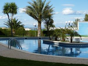 una piscina con palmeras en un complejo en Apartamento Mediterráneo Bellavista, en Miami Platja