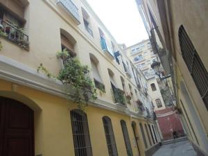 an alley with buildings and plants on the side at Clemens in Málaga