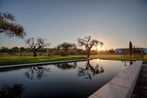 Ảnh trong thư viện ảnh của Quinta Dos Carvalhos Castelo Branco ở Castelo Branco