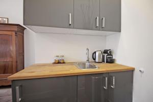 
A kitchen or kitchenette at New monumental garden view Studio
