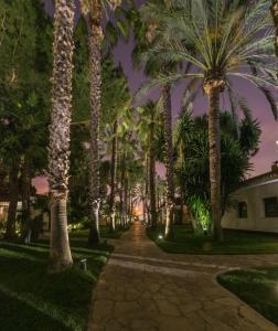 una pasarela bordeada de palmeras por la noche en El Oasis Villa Resort, en La Eliana