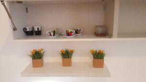 a shelf with three pots with flowers on it at Una Finestra su Monti in Rome