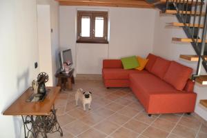 a living room with a red couch and a cat in it at Ca el Finilet in Brenzone sul Garda