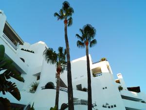 two palm trees in front of a building at Apartment Castillo San Carlos in Torremolinos