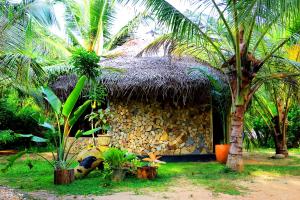 Jardí fora de Turtle Watch Cabana