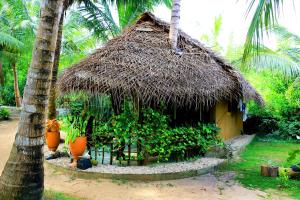Jardí fora de Turtle Watch Cabana
