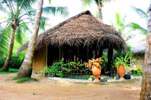 Jardí fora de Turtle Watch Cabana