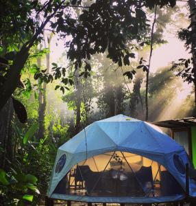 a blue umbrella sitting on top of a tree at Faith Glamping Dome Costa Rica in Manzanillo