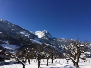 Fotografia z galérie ubytovania Haus Fankhauser v destinácii Dorfgastein