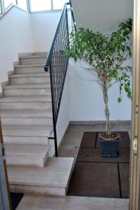 a plant in a pot next to a staircase at Agli Ospedali in Padova