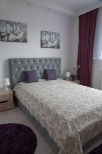 ピワにあるApartament Piła Równaのベッドルーム1室(大型ベッド1台、紫色の枕付)