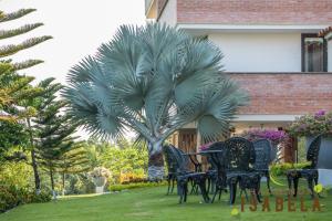 Zahrada ubytování Hacienda Isabela Hotel Campestre