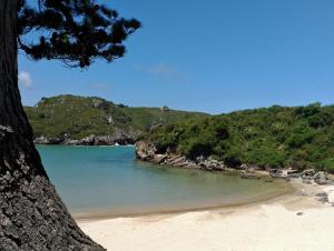 a view of a beach with a tree on the beach at Casa El Carrelu in Po
