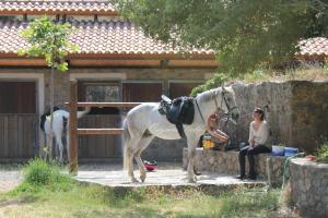 Hostia v ubytovaní Country Hotel Velani