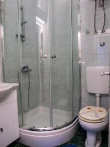 a bathroom with a shower with a toilet and a sink at Apartments Vukovic in Postira