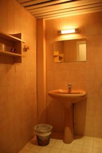 a bathroom with a sink and a mirror at Le Collet d'Auron in Auron