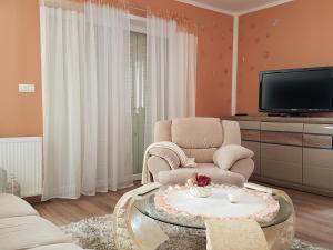 TV a/nebo společenská místnost v ubytování Apartments Suzana