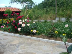 Villa Kalina في لوزينيتس: حديقة من الزهور أمام المبنى