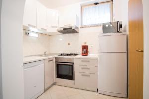 Kuchyň nebo kuchyňský kout v ubytování Apartment Dani