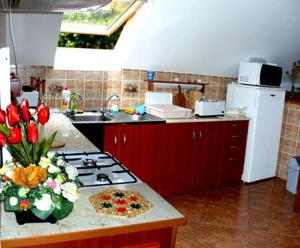 A kitchen or kitchenette at Hudi-Lak Vendégház