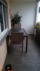 a table and a chair in a room with a plant at Zimmervermietung Bern in Bern +7 photos
