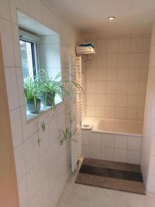 ein Badezimmer mit einer Badewanne und zwei Pflanzen in einem Fenster in der Unterkunft Luna in Kandern