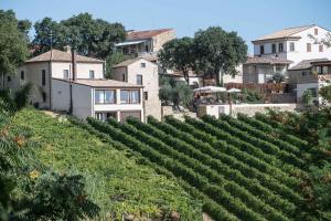 Zahrada ubytování Borgo Baccile by Vini Fantini