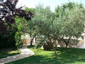サヴドリアにあるSummer Delight Apartmentsの歩道のある庭の木々