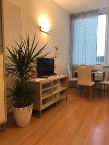 - un salon avec une télévision et un bureau avec une plante dans l'établissement Living Apartment Central, à Merano