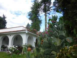 Gallery image of Loft en Casona Colonial in Santa Rosa