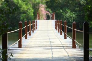 a row of wooden walkways leading to a river at Mangrove Beach Chalets in Tangalle