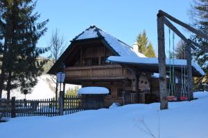 Ferienhaus Dirnbacher Hütte v zimě