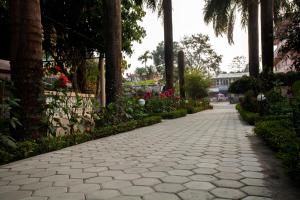 Kebun di luar Sauraha Resort