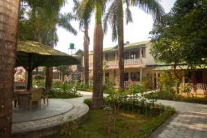 Kebun di luar Sauraha Resort