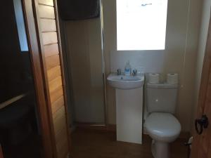 een badkamer met een toilet en een wastafel bij Sealoch Cottage in Breasclete