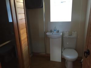 un bagno con un water e un lavandino di Sealoch Cottage a Breasclete