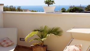 a plant on a balcony with a view of the ocean at Leuca Villetta Vista Mare in Leuca