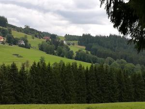 vistas a una colina verde con árboles en Pension Forsthaus Täle, en Titisee-Neustadt