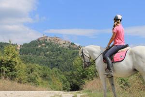 uma mulher montada num cavalo branco numa colina em Agriturismo Il Monte - Piscina tra gli Ulivi, Maneggio con Cavalli e WIFI em Monte Santa Maria Tiberina