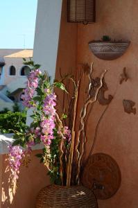 マリーナ・ディ・ピスティッチにあるBorgo Aranci Casa Vacanzeの花瓶