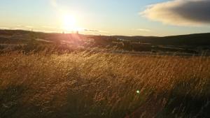 a view of a grassy field with a sunset at Pellestova Hotell Hafjell in Hafjell